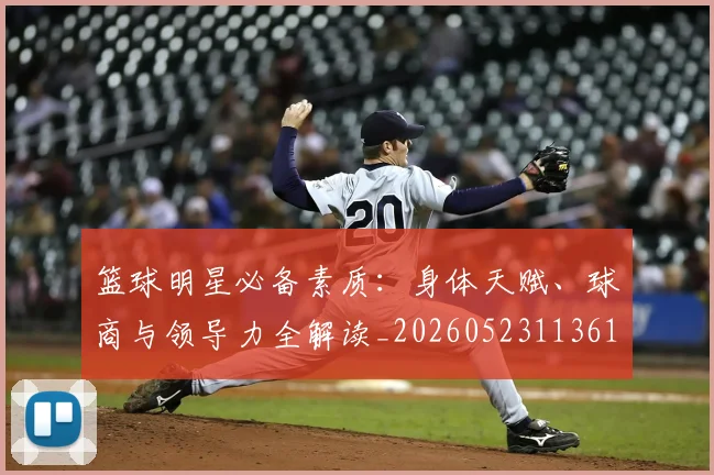 篮球明星必备素质：身体天赋、球商与领导力全解读_20260523113615